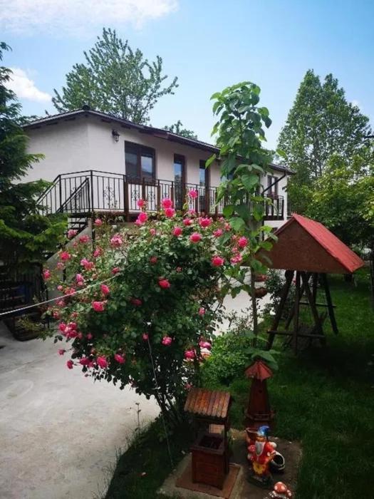 Casa Tibi Si Nico 호텔 데포리노드 외부 사진