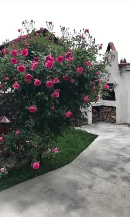 Casa Tibi Si Nico 호텔 데포리노드 외부 사진